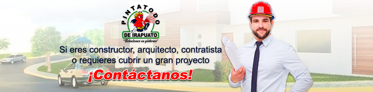 REQUIERES CUBRIR UN PROYECTO IMPORTANTE - SLIDER (RECTANGULAR) - PINTATODO DE IRAPUATO